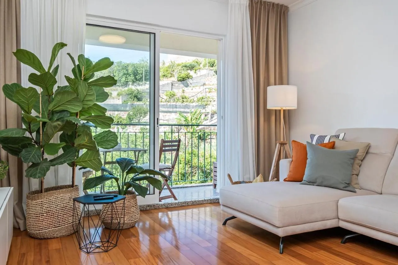 Ficcus Home Canico  Apartment